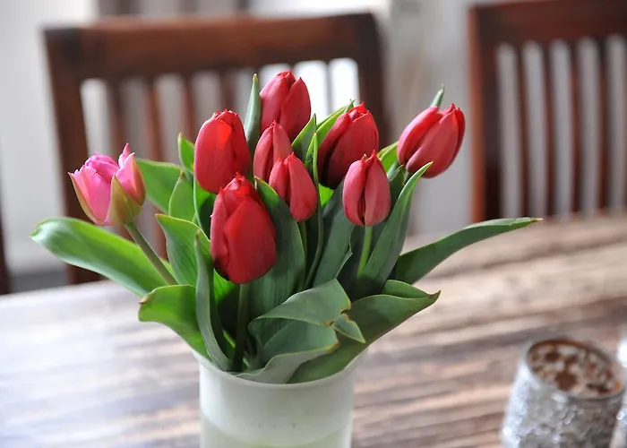 Panzió Bed En Beschuit